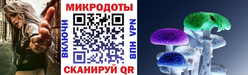 Псилоцибиновые грибы Cubensis  Купить где  Правдинск 
